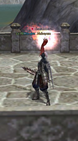 Espiritu de la Llama